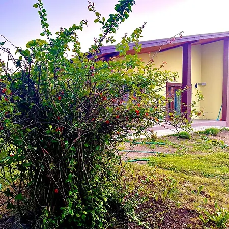 ゲストハウス подих карпат