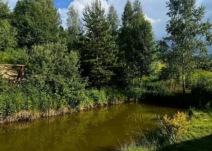 подих карпат Slavske