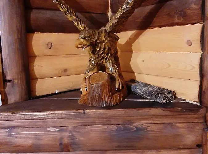 подих карпат Konukevi Slavske